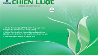 Bản tin Chiến lược số 01/2025